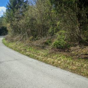 Prodajem povoljno šumu i livade