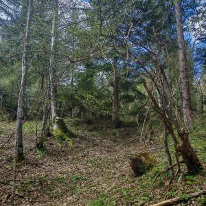 Prodajem povoljno šumu i livade