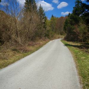 Prodajem povoljno šumu i livade