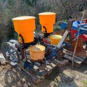 Sijačica dvoredna OCT