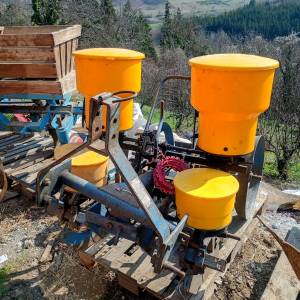 Sijačica dvoredna OCT