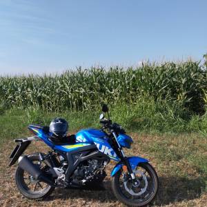 Suzuki gsx 125