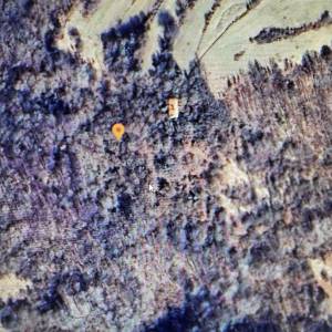 Žumberak prodajem zemljišta