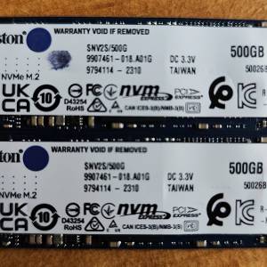 2 x 500gb SSD2 PCIe Gen.4 NVMe M.2 Kingston