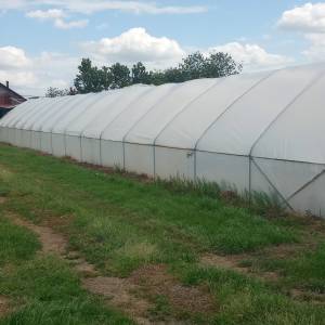 Dvoredni gredičar i plastenik