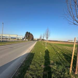 Građevinsko zemljište, Jastrebarsko (Cvetković), 7.200 m2 - Prodaja