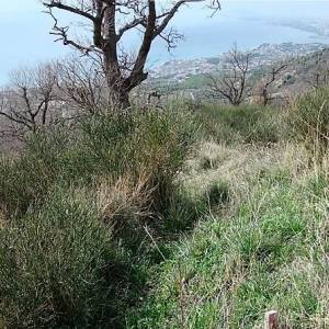 Građevno zemljište Podstrana, Gornja Podstrana