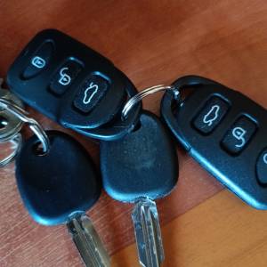 Hyundai elantra 2.0 dohc bez ulaganja