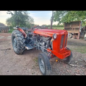 Imt 558