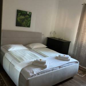 Izuzetna prilika! Roč, villa s bazenom, 180m2, 1000m2 okučnice