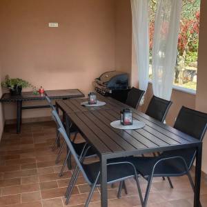 Izuzetna prilika! Roč, villa s bazenom, 180m2, 1000m2 okučnice