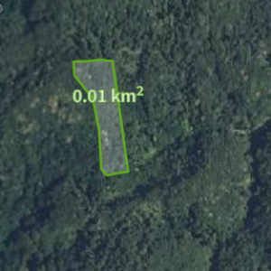 PRODAJA ŠUME – PODEVČEVO – 15.000 m²
