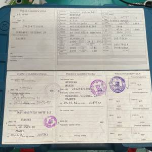 Renault Trafic T 313, kombi za preurediti u kampera ili za prevoz robe