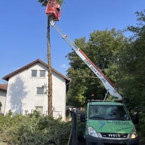 Rušenje drveća auto košarom-granu po granu