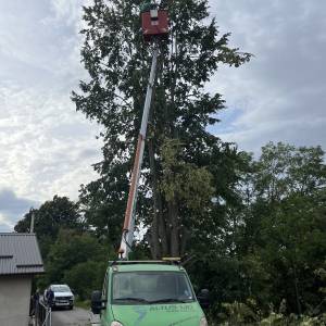 Rušenje drveća auto košarom-granu po granu