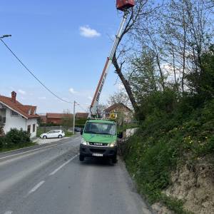 Rušenje drveća auto košarom-granu po granu