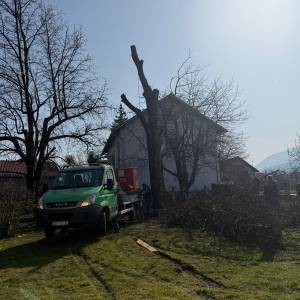 Rušenje drveća auto košarom-granu po granu
