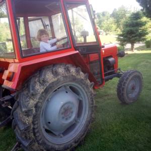 traktor Tafe-tigar 1999.g-moguča zamijena po dogovoru