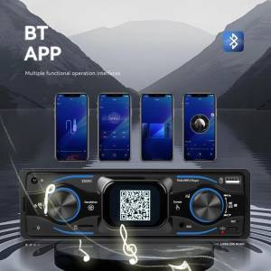 USB TF FM MP5 Bluetooth Auto radio