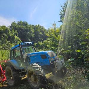 Usluge malciranja i krcenja zaraslih terena