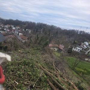 Usluge malciranja i krcenja zaraslih terena
