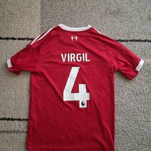 Van Dijk Liverpool 25/26 L dres