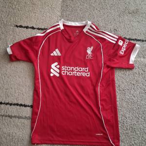 Van Dijk Liverpool 25/26 L dres
