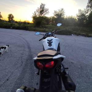 Yamaha Fz 8(N) 2011