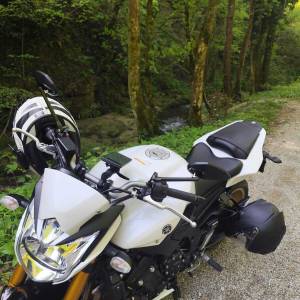 Yamaha Fz 8(N) 2011
