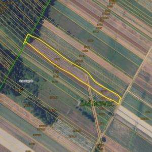Zagreb - Sesvete - Glavničica 8.200m2 nasad lješnjaka i oranica