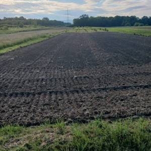Zagreb - Sesvete - Glavničica 8.200m2 nasad lješnjaka i oranica