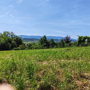 BEDEKOVČINA - Građevinsko zemljište 1.339 m2 s dva izlaza na cestu!
