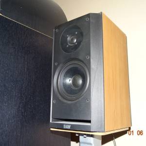 Bowers & Wilkins DM302