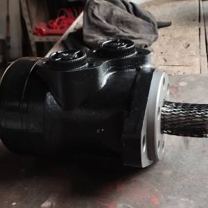 Hidromotori