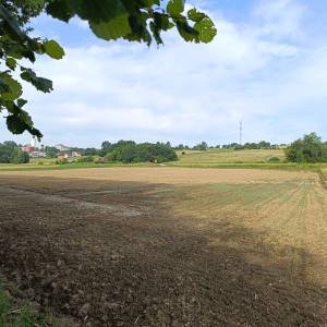 Investicijsko zemljište 16601 m2- IS7 energetska zona sunčana elektran