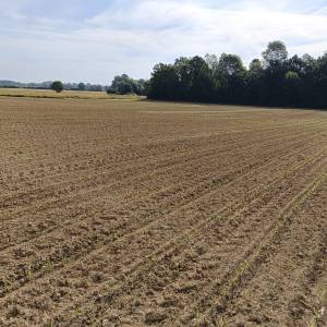 Investicijsko zemljište 16601 m2- IS7 energetska zona sunčana elektran