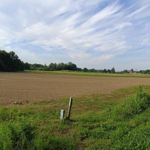 Investicijsko zemljište 16601 m2- IS7 energetska zona sunčana elektran