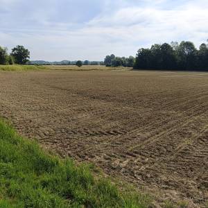 Investicijsko zemljište 16601 m2- IS7 energetska zona sunčana elektran