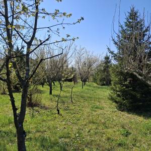 Prodaja građevinskog zemljišta u Lipiku