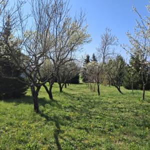 Prodaja građevinskog zemljišta u Lipiku