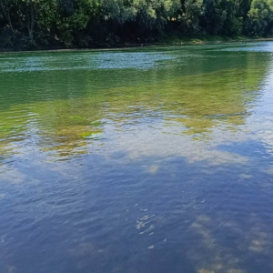 Prodaja kuće za odmor