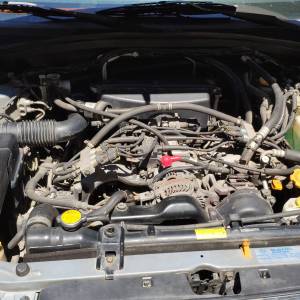 SUBARU FORESTER 2.0X (92 kW) 2005.g BENZIN + LPG, AVD 4X4 + REDUKTOR