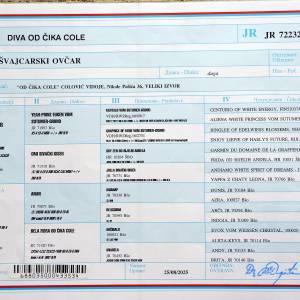 Beli švajcarski ovčar, mlada ženka  (9 meseci)