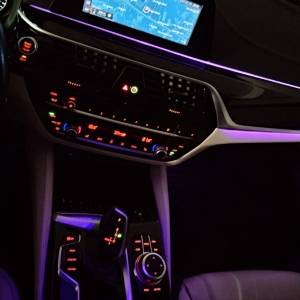 BMW 5 G30 2.0i 2020.g.