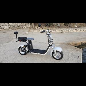Citycoco Novi model 2026g, 1500eura