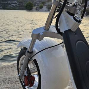 Citycoco Novi model 2026g, 1500eura