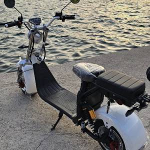 Citycoco Novi model 2026g, 1500eura