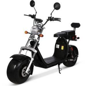 Citycoco Novi model 2026g, 1500eura