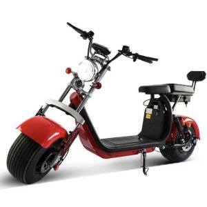 Citycoco Novi model 2026g, 1500eura