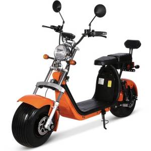 Citycoco Novi model 2026g, 1500eura
